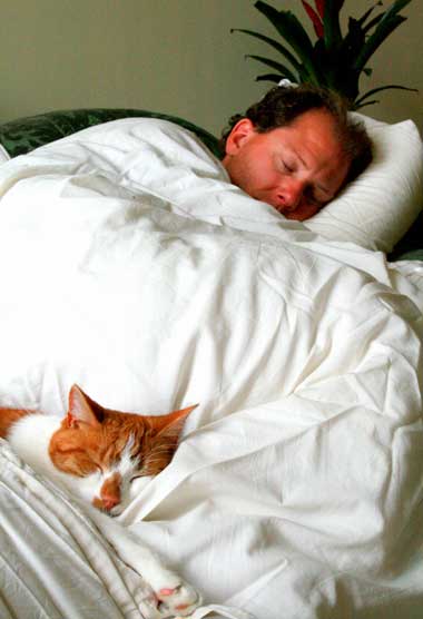 A cat asleep with a human