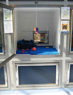 A pen at the Nactional Cat Centre