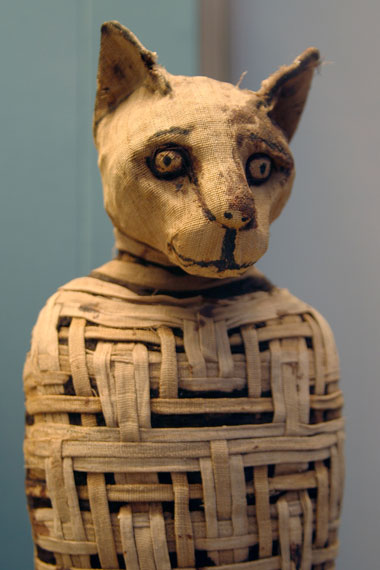 A mummified cat in the Egyptian galleries of the British Museum