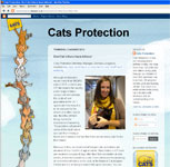 Image preview of the Cats Protection Blog