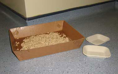 Litter tray at Cats Protection